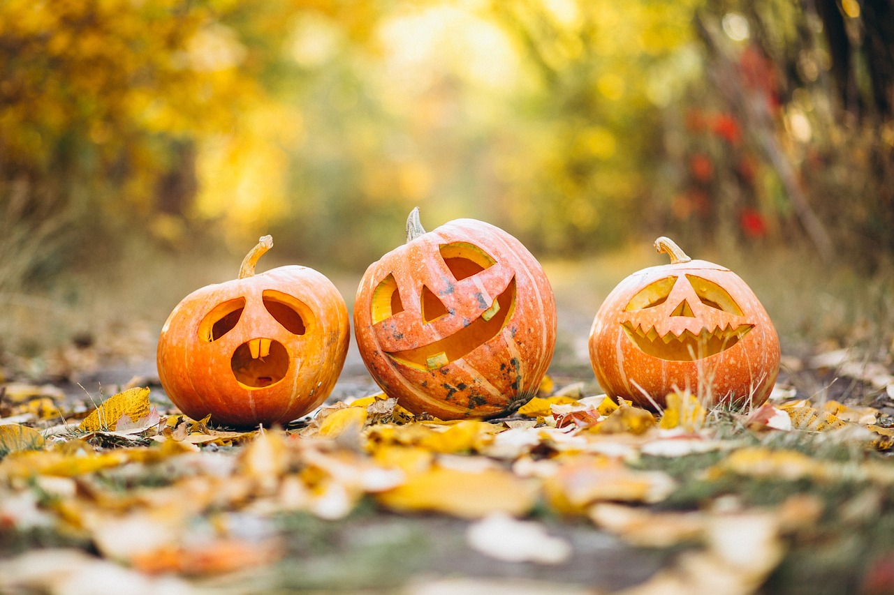 Halloween-ul vine cu REDUCERI de pana la 60% la produsele tale preferate de fiscalitate si contabilitate