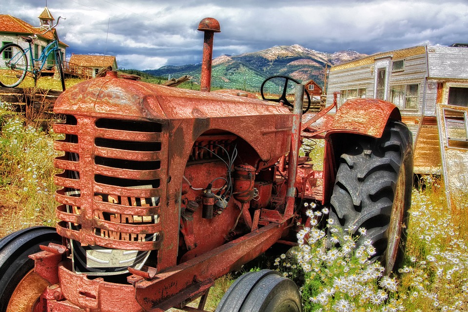 Angajarea zilierilor in agricultura. Ce trebuie sa stie o PFA?